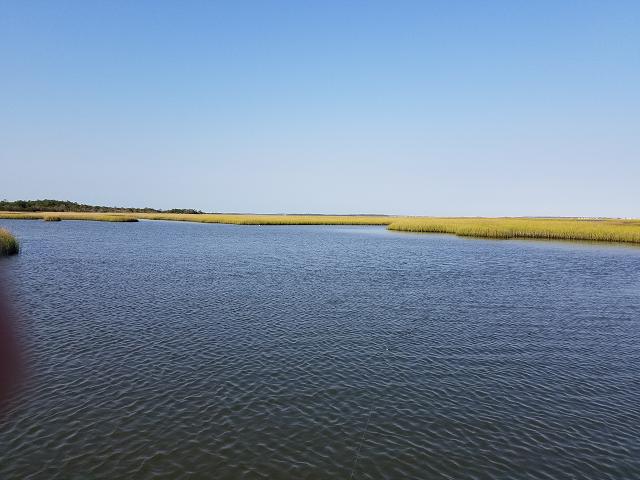 Hamocks_Beach_State_Park_Marsh_and_Bear_Island