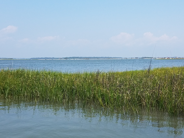 View_of_Main_Land_from_Bear_Island